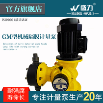 Power GM metering pump flow pump mechanical diaphragm acid-base chemical industry 304 stainless steel corrosion-resistant PVC dosing pump