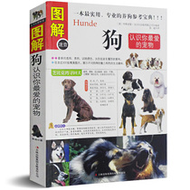 Illustrated dog books Dog training tutorials Dog skin diseases Common diseases Dog deworming Daily care Teddy Shepherd Husky Poodle Pet dog maintenance books Dogs (know your favorite pets)Keep dogs in