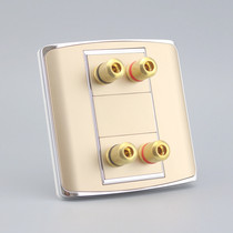 Champagne 86 two-digit double-head speaker socket panel champagne gold 5 1 surround sound audio wall socket
