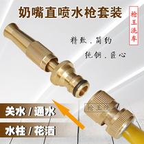 Pure copper household nipple straight spray gun set quick connector watering nozzle brush spray gun antifreeze hose hose hose