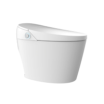 Hengjie bathroom integrated smart toilet with hot water tank full automatic smart toilet HCE300A01 Q
