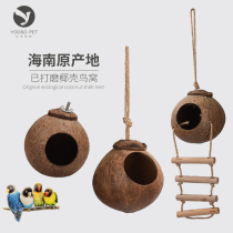 Hainan coconut shell bird nest peony tiger skin bird nest coconut nest Grinding coconut nest Swing Swing