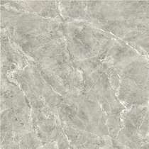  Actually home Mona Lisa tile 9FMB2023PCM new north pole gray