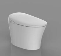 Gold bathroom integrated smart toilet automatic multifunctional instant hot toilet RF3120Z store same model