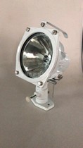 TG8 floodlight 24V-250W-tungsten-halogen lamps