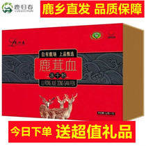 (Bao Zhen sent a good gift) Lu Guichun deer blood freeze-dried powder TV shopping deer straight hair TV same model