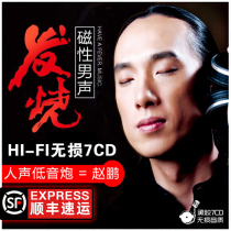 Genuine Zhao Peng cd burning disc human voice subwoofer high quality car with vinyl cd disc lossless music car