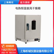 Shanghai Jinhong DHG-9248A electric constant temperature blast drying oven oven oven constant temperature box 50~400 ℃