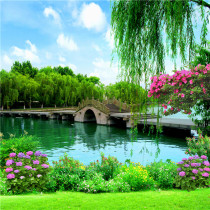 Net red men and women live broadcast room anchor decorative wall cloth fast hand shake background wall exterior landscape landscape 3d background cloth
