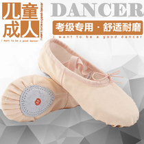 Dance shoes Childrens womens soft-soled practice shoes Adult mens black classical body cat claw dance shoes Chinese red ballet