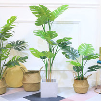 Nordic simulation turtle back leaf potted living room indoor fake bamboo plant ornaments creative green planting mall floor decoration tree