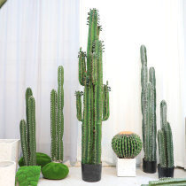 Simulation cactus pillar plant Nordic fake cactus ins green plant decoration window Villa large bonsai match