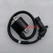 Suitable for Suzuki Red Baoling Di Tianyu UA125T UZ UM125T-A C high voltage package ignition coil