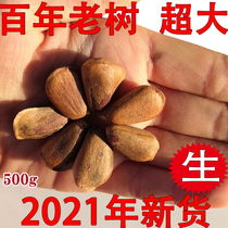2021 New northeast wild pine nuts 500 grams do not open specialty Changbai Mountain pregnant women nuts fresh pine seeds