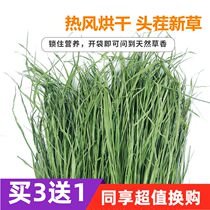 3 send 1 2021 New drying Timothy Hay Hay rabbit grain north the pasture rabbit ChinChin guinea pig