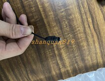 Audio data cable signal line radio frequency line audio cable dedicated socket power amplifier line length 1 meter 2 core wire