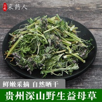 Wild new materia medica tea Fresh dried conditioning aunt promotes menstrual Qi and blood Foot flower tea Chinese herbal medicine dry tea