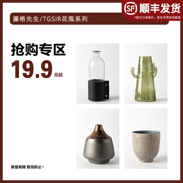 Mr. TGSIR Fujige Vase 19.9 yuan from the limited discount area glass ceramic insert vase pendulum