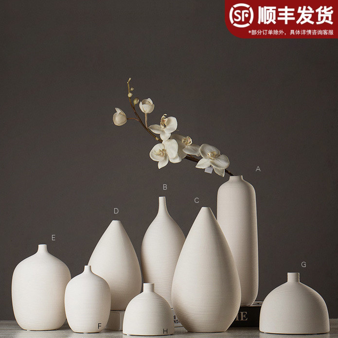 Modern minimalist American white-burned ceramic vase Butterfly orchid overall flower gardener home ornaments