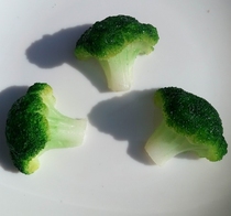 Special Price Products High Simulation Broccoli Model Simulation Florin Model Simulation Food Model Accessories