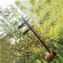 Sincerity Ebony shaft performance practice Jinghu musical instrument factory direct sales sound pure and charm Xipi Erhuang Huqin