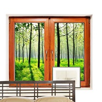 Polar View E2 (excluding special-shaped) casement inward window