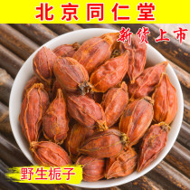 Tongrentang Chinese herbal medicine Gardenia 500g wild Super yellow fruit yellow Gardenia mountain gardenia flower tea