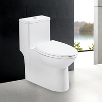 Siphon-type water saving toilet bowl