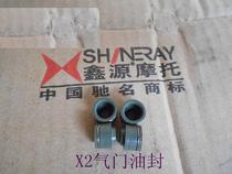 Xinyuan X2X off-road vehicle Xinyuan X2 CB250 CB300 valve oil seal water-cooled four-valve