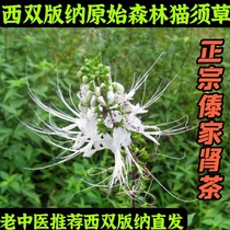 Zongxi Shuangbao Nanyunnan Special Field Fossil Herb Health Cat Taiwan Kidney Tea Tea Renal Tea