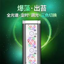 Goldfish burst algae lamp moss moss burst moss full spectrum fish tank lamp led downlight lighting lamp special hanging professional