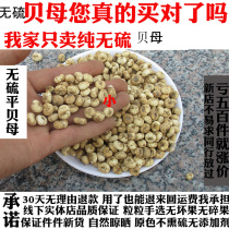 Chinese herbal medicine northeast planting pure sulfur-free Fritillaria ussurae non-Fritillaria thunbergii 50g free powder