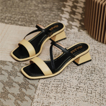 Korean version of spring and summer wear sandals and slippers women's 2021 new square head gentle sandals with thick heel fairy wind sandals