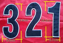 The back number of the jersey plus adhesive black and white edges if temporarily used you can pin it yourself