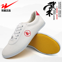 Double star martial arts shoes for men and women Tai Chi canvas sneakers for childrens martial arts exercise shoes performance shoes