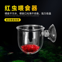 Acrylic Red Worm Cup Red Worm Feeder feeding cup transparent acrylic feeding ring View Cup Red Worm Feeders