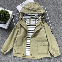 Boys windbreaker childrens clothing Zhongdai autumn cotton double-layer hooded pull chain shirt windbreaker jacket foreign-style jacket