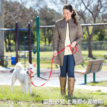 Pet Dog Dog Mouth Ring Dog Mouth Nose Ring Training Pull Traction Rope Walking Dog Dog Special Dog Chain Out