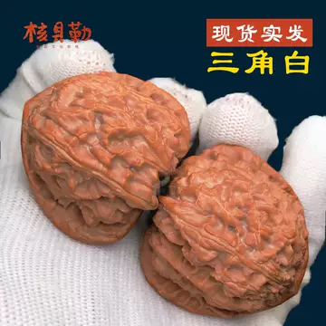 三角白狮子头-三角白狮子头促销价格、三角白狮子头品牌- 淘宝