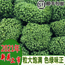 2021 New Panax Yunnan Wenshan four-year special 37 tea 500g bulk field seven flowers non-wild