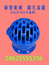 H42X-6 flange bottom valve check valve check valve cast iron water pump bottom valve DN40506580100150200