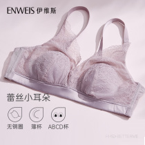 (lace small ears) iveslace thin bra without steel ring light thin display with small French lingerie ABCD Cup