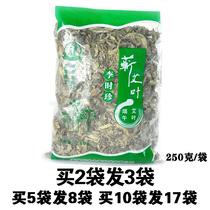 Chinas Ai Hubei Qu Zhengzong Zhengzong Zhengzong Ayeye Three years Chen Qianai Ye drive cold feet soak in the foot bath Qi Hay