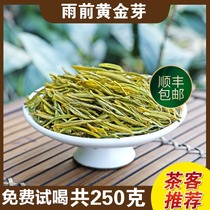 Golden Bud new tea will be listed in 2021 Before the rain Premium Anji white tea Green Tea 250g bulk Mikiheng