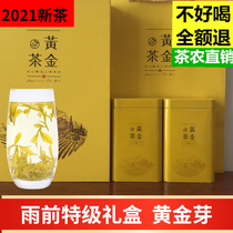  Golden bud 2021 new tea listed 250 grams of spring tea before the rain special rare grade gift box green tea