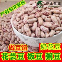 2021 New beans 3 catties in Northeast Heilongjiang milk white flowers rice beans kidney beans bean stuffing boiled porridge