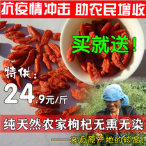 First stubble new real Ningxia Zhongning red wolfberry free-to-wash direct gouqi gouqi 500g male kidney