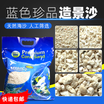 Blue treasures sea tank landscaping coral sand sea sand Philippine sand natural fish tank bottom sand sea sand coral Bone Stone