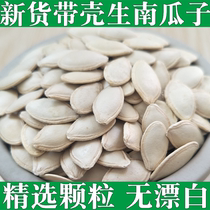New pumpkin seeds large pieces of 1kg 2kg 5kg with Shell board pumpkin seeds white melon seeds original flavor non-cooked