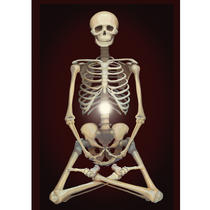 Buddhism has a five-door Zen method white bones Zen looking at pictures double-sided plastic hanging pictures